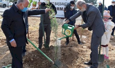 KAHRAMANMARAŞ‘TA 5. ADALET ORMANI OLUŞTURULDU