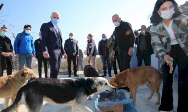 Can Dostlar Daha Güvenli Ve Korunaklı Bir Yapıya Kavuştu