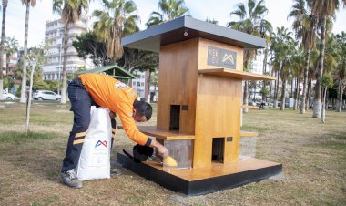 Mersin Büyükşehir’den Kedi Evleri