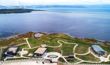 Yaz kuşları kuluçka için 