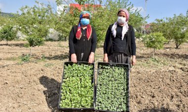 Tarsus Belediye Başkanı Bozdoğan, Yerli Tohumları Toprakla Buluşturdu