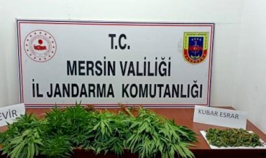 Mersin'de uyuşturucu operasyonu: 7 gözaltı