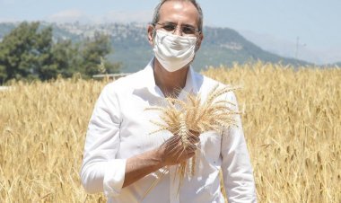 Tarsus Belediyesinin Tarlada İzi Vardı, Harmanda Yüzü Oldu