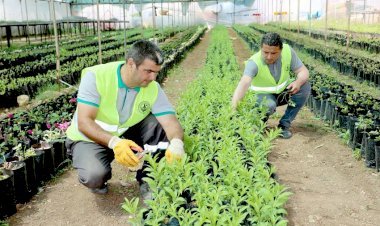 Üreten  Eller  Kazandırıyor