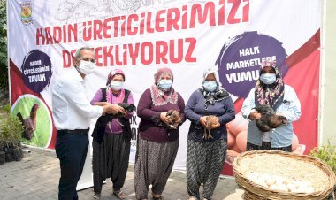 Kadınlar Tavukları Besleyip Yumurta Üretecek, Belediyenin Halk Marketleri Satacak
