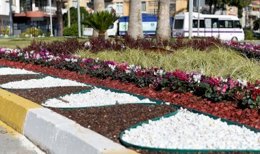 Büyükşehir, Dört Mevsim Yeşil Mersin İçin Çalışıyor