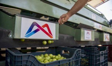 Büyükşehir, 2 Kooperatife Birer ‘Erik Boylama Makinesi’ Desteğinde Bulundu