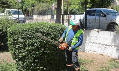 Toroslar  Belediyesi’nden Yeşil  Alanlarda Bakım