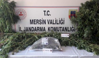 Mersin’de Uyuşturucu Operasyonu 2 Gözaltı