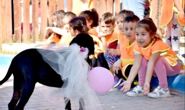 Tarsus  Belediyesi  Minik  Öğrencileri Patili  Dostlarla  Buluşturdu