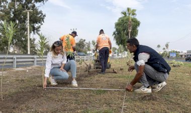 Mersin Büyükşehir’in Alım Garantisi Verdiği  Zakkumların  Dikimi  Başladı