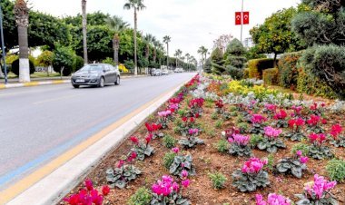 Büyükşehir, Kadın Eliyle Mersin’i Çiçek Gibi Yapıyor
