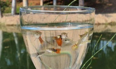 Mersin’de 2021 Çevrenin Yılı Oldu