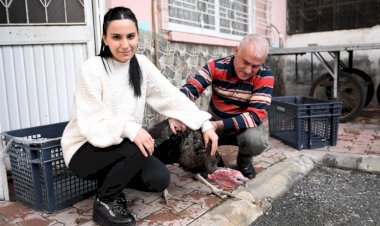 Kaybolan Hindisinin Yerini Büyükşehir Doldurdu