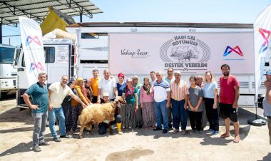 BÜYÜKŞEHİR'DEN 18 YETİŞTİRİCİYE TOPLAM 450 KÜÇÜKBAŞ HAYVAN DESTEĞİ