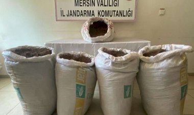 TARSUS’TA KAÇAK TÜTÜN OPERASYONU