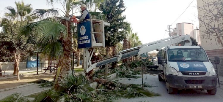 Akdeniz’in Park Ve Yeşil Alanları Yenileniyor