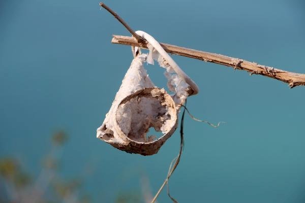 Plastik kirliliğine karşı 'Plastiksiz Doğu Akdeniz Platformu' kuruldu