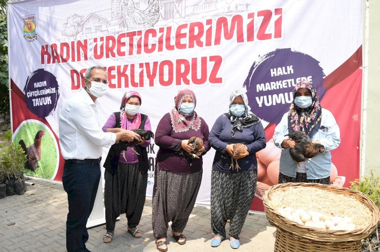 Kadınlar Tavukları Besleyip Yumurta Üretecek, Belediyenin Halk Marketleri Satacak