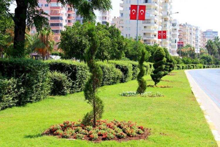 Büyükşehir, Dört Mevsim Yeşil Mersin İçin Çalışıyor
