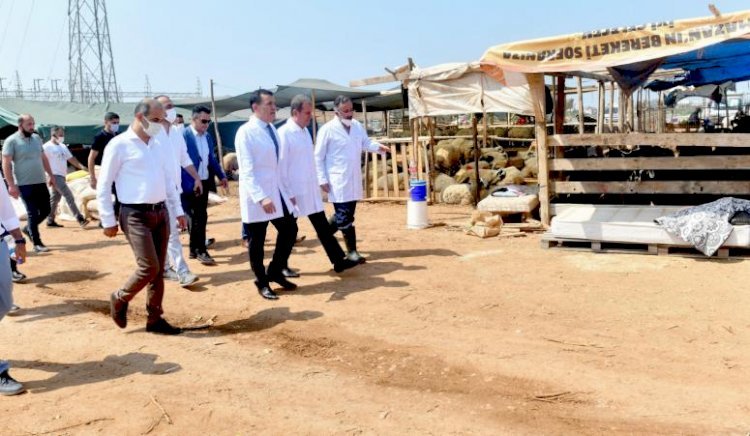 Başkan Seçer ve Başkan Özyiğit Kurbanlık Satış Ve Kesim Alanını İnceledi