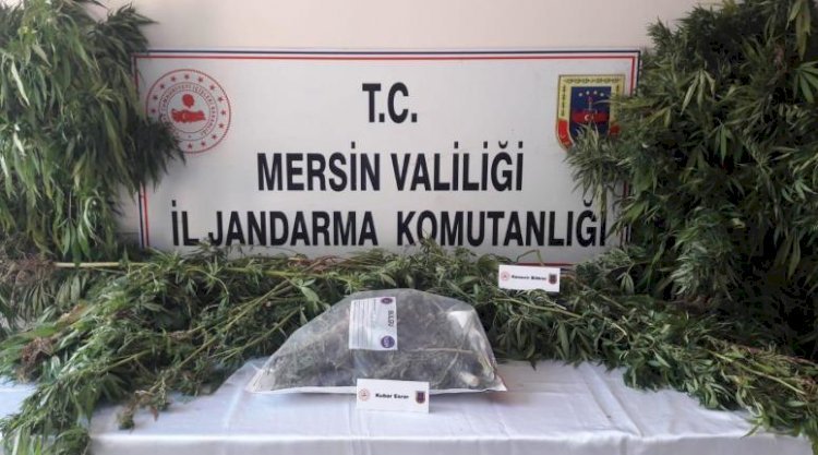 Mersin’de Uyuşturucu Operasyonu 2 Gözaltı