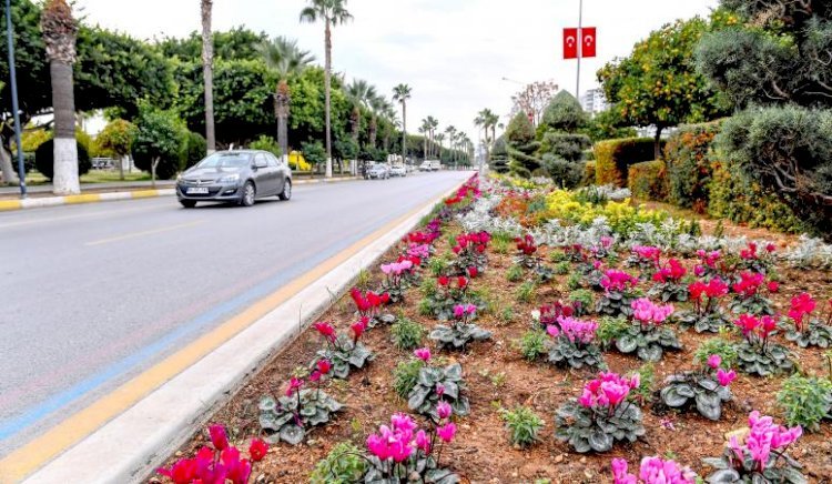 Büyükşehir, Kadın Eliyle Mersin’i Çiçek Gibi Yapıyor