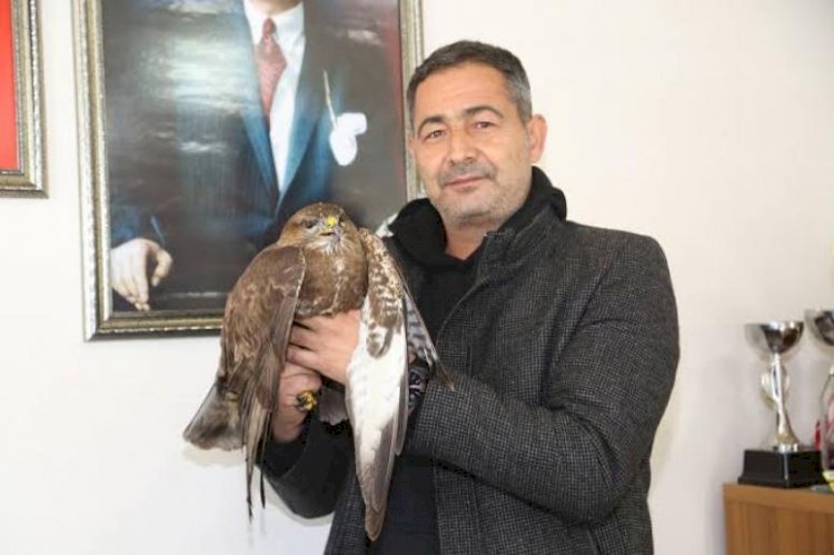 Yaralı Şahin Belediye Personelleri Tarafından Kurtarıldı”