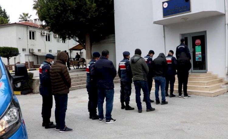 Mersin’de Torbacılara Şafak Operasyonu 2 Tutuklama