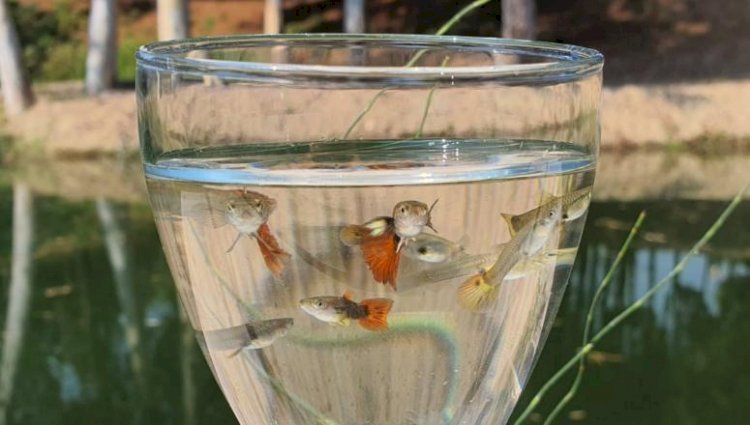 Mersin’de 2021 Çevrenin Yılı Oldu