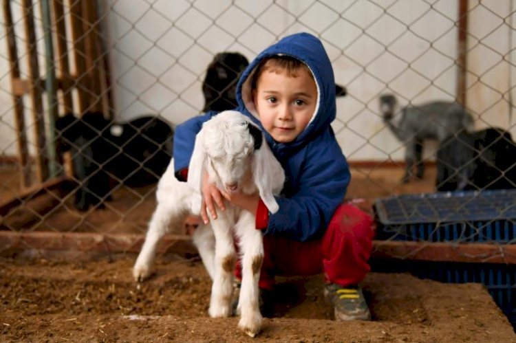 “Bize Bereketli Geldi. İnşallah Bizden Gidecek Vatandaşlara Da Bereketli Gelir”