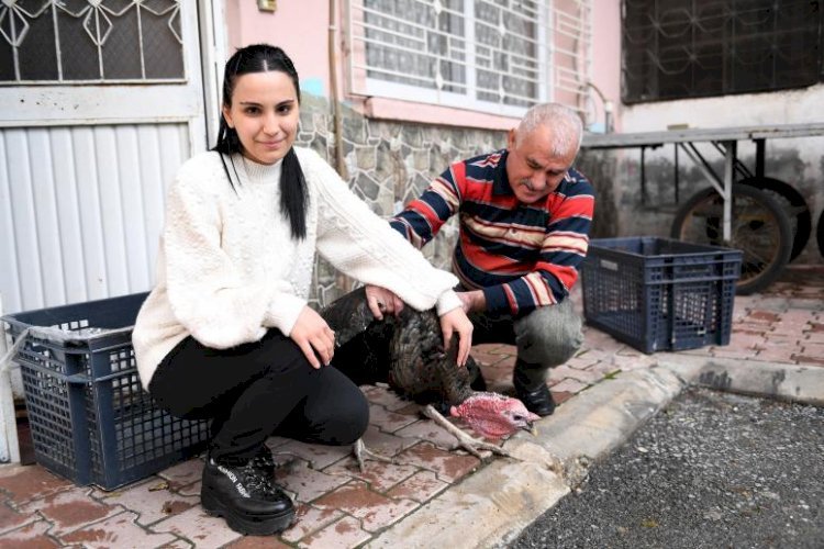 Kaybolan Hindisinin Yerini Büyükşehir Doldurdu