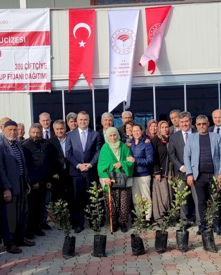 TARSUS ‘TA 6 BİN KEÇİBOYNUZU FİDANI DAĞITILDI